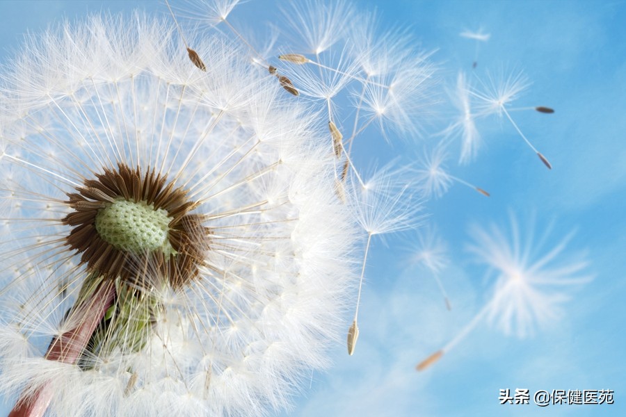 夕阳红难以启齿的元凶 ——女性盆底功能障碍性疾病