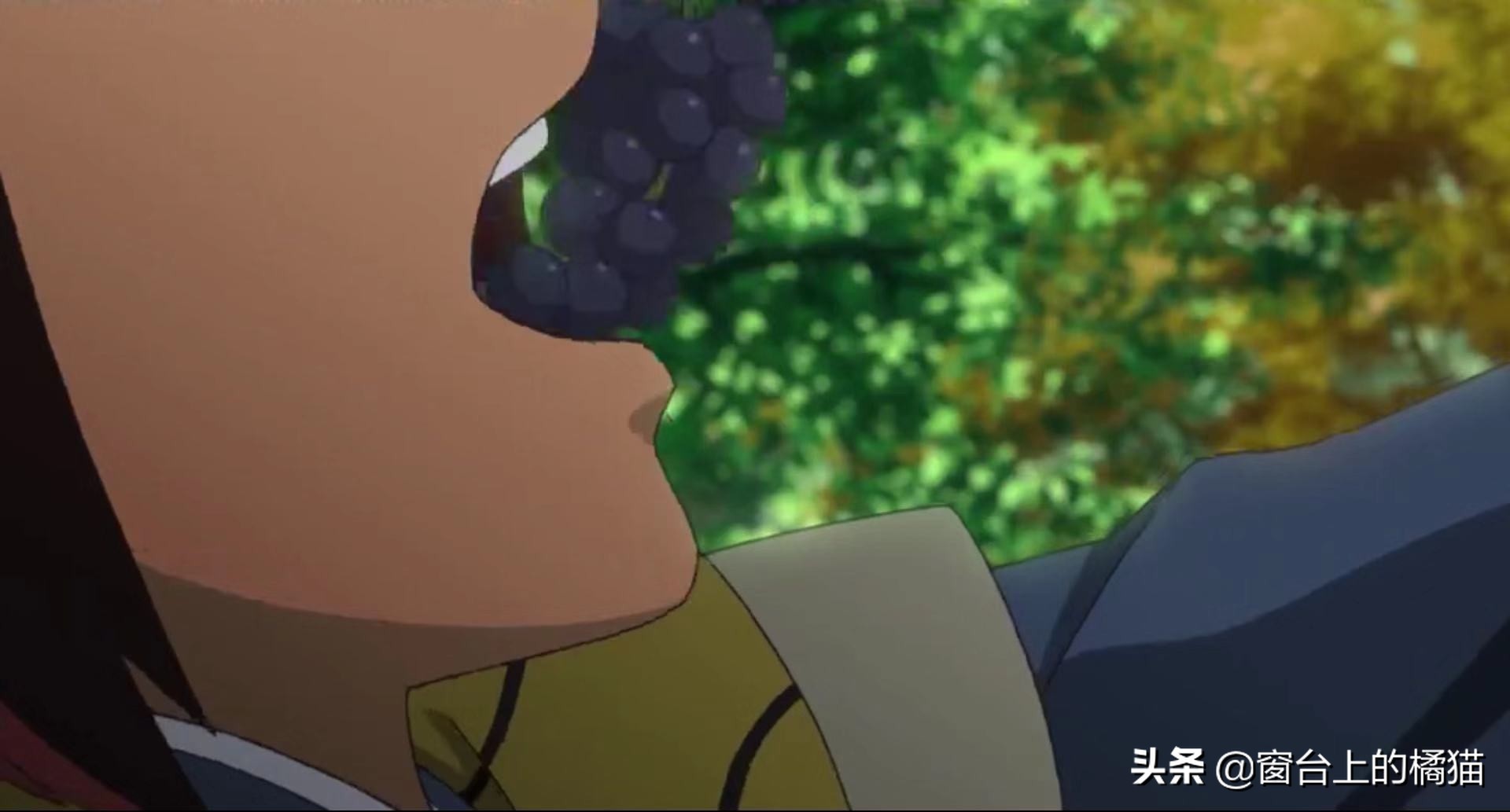 犬夜叉杀生丸出场的集数,夜叉姬麒麟丸vs杀生丸