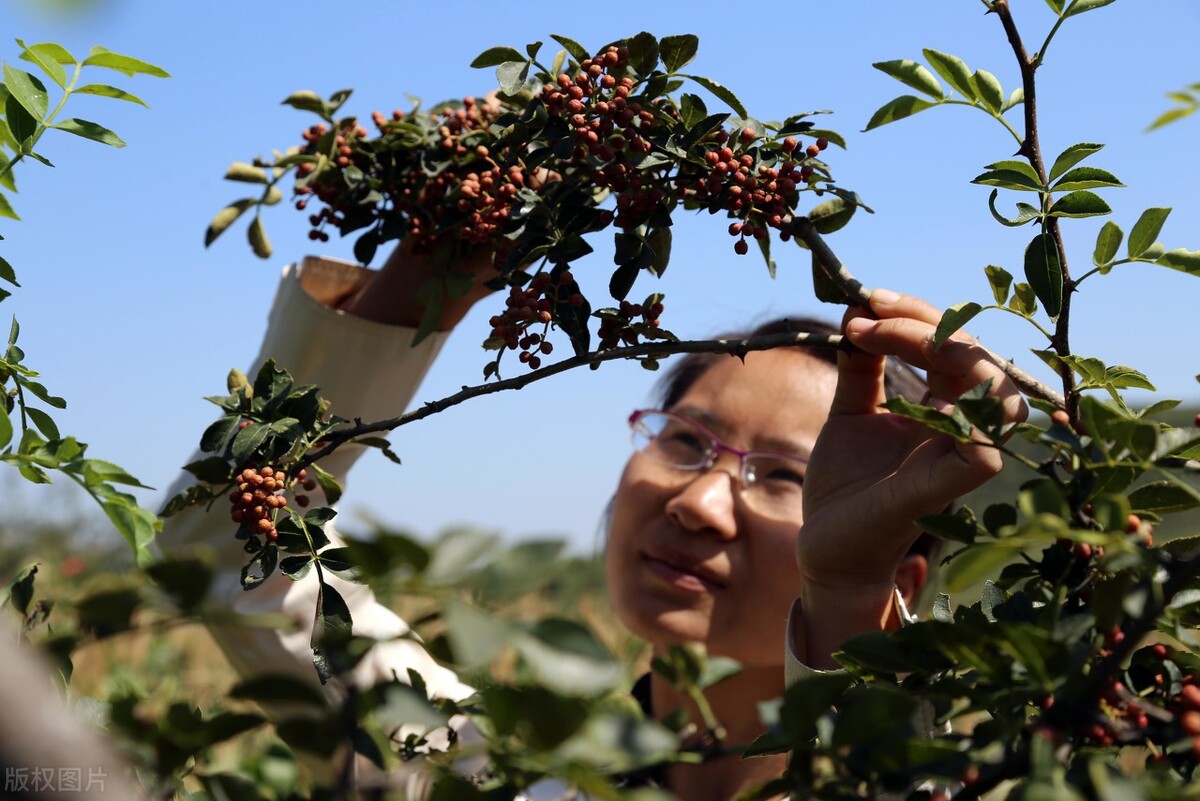 适合宝妈的赚钱项目宝妈如何创业,普普通通的宝妈在抖音如何创业呢