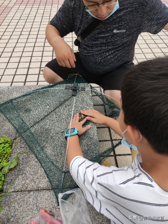 周末带娃出来抓抓虾,周六爸爸陪宝贝抓螃蟹