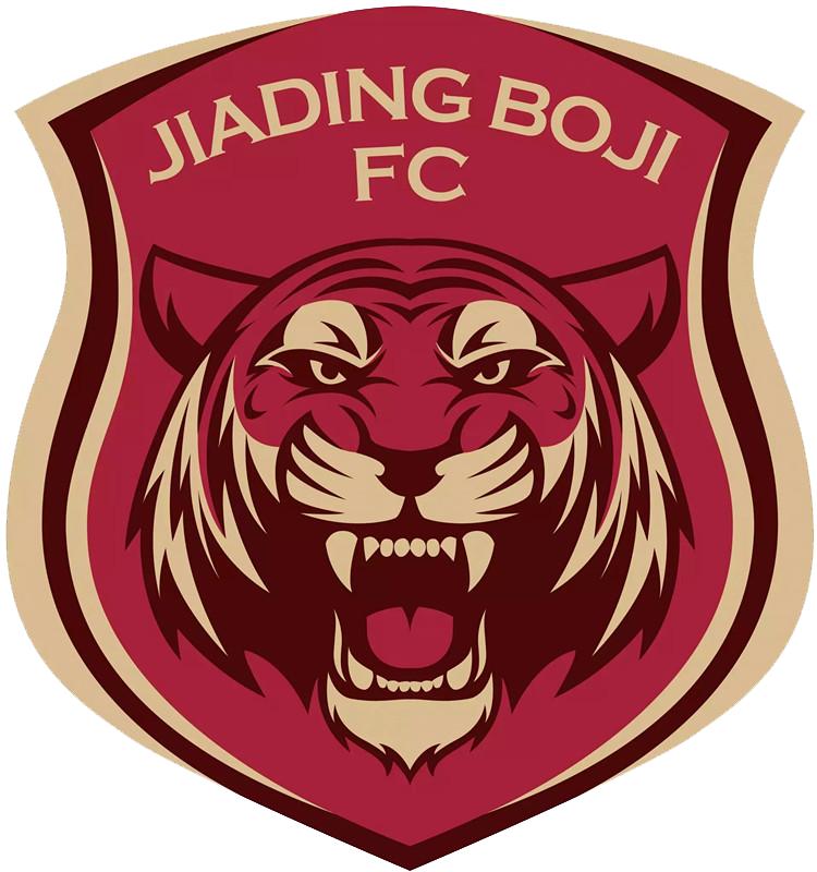 中国足球队历届队徽,中国足球队历年队徽变化