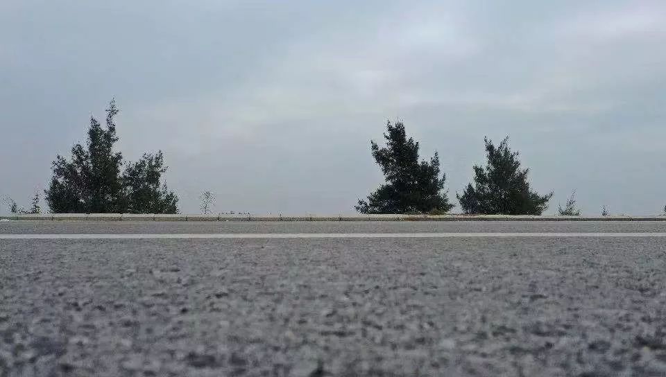 钦州哪里吃海鲜又便宜又好吃,钦州吃海鲜的大排档