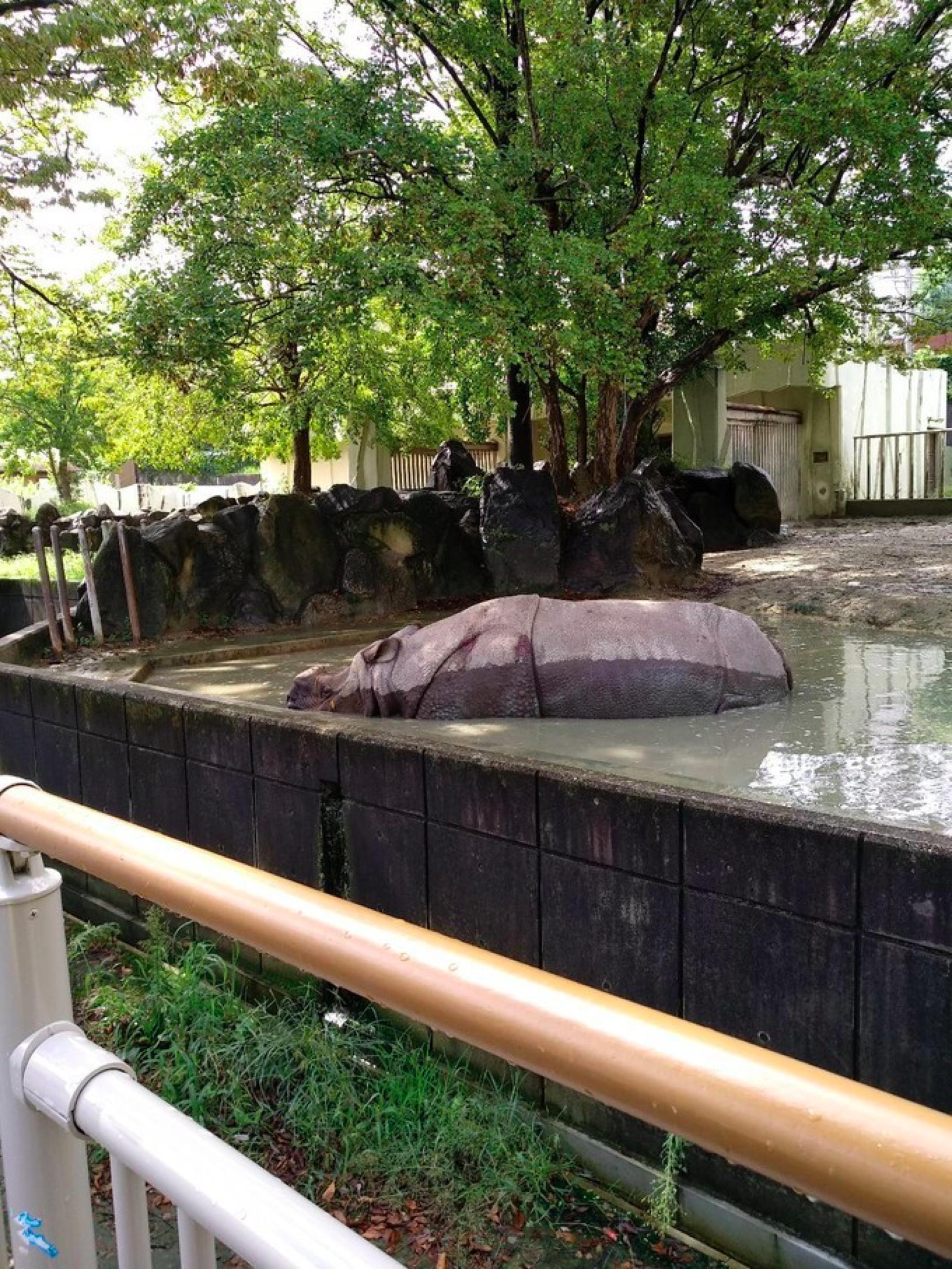 名古屋七日游自由行,名古屋3天自由行攻略