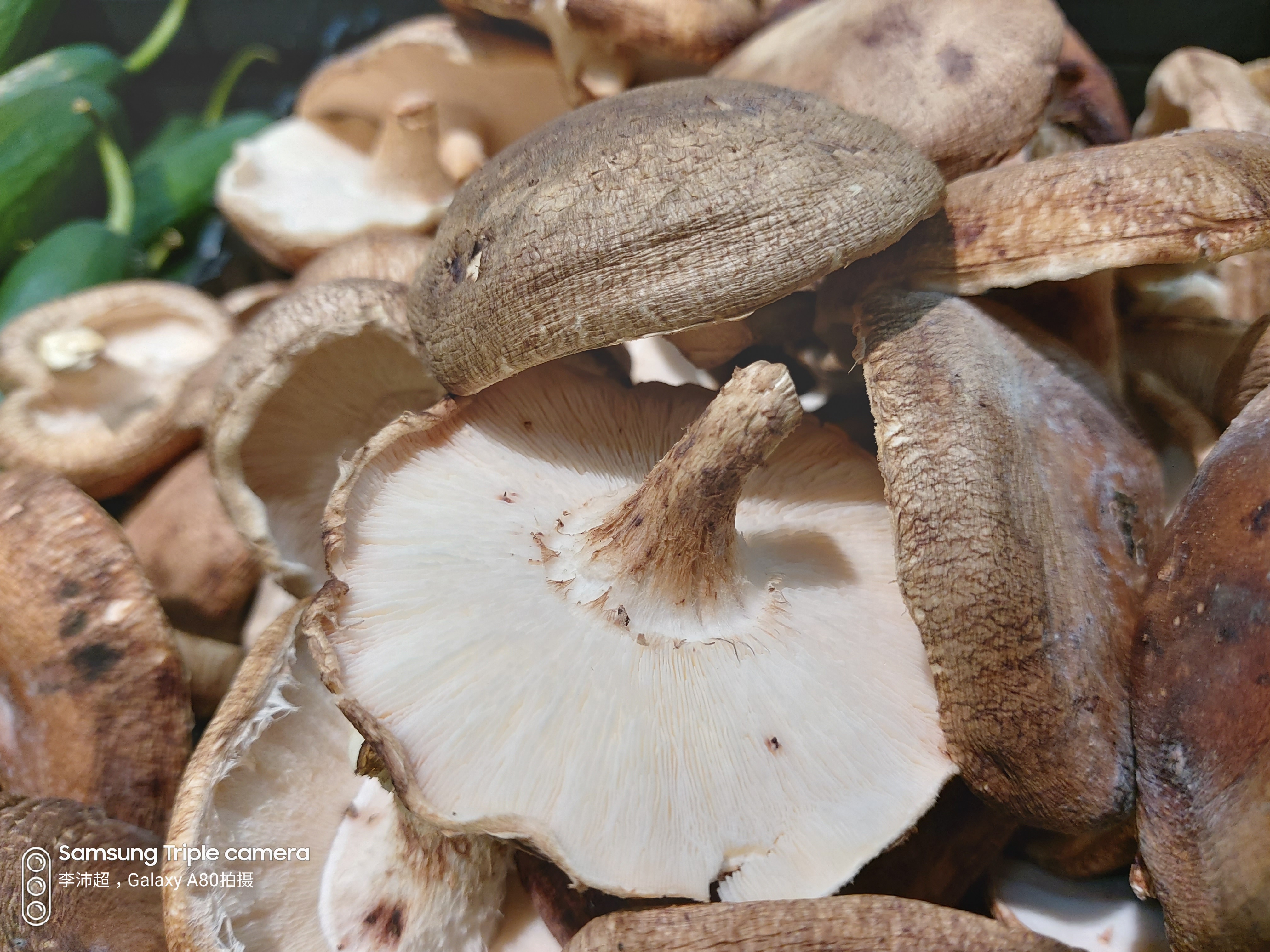 三星a80评测,三星a80和三星s10plus对比