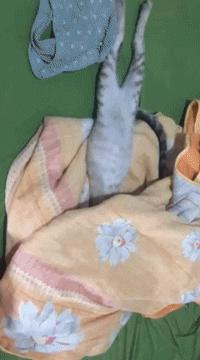 超级搞笑gif图,超好笑gif图