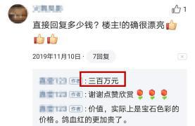 星空红宝石价值,花300买一个金标值吗