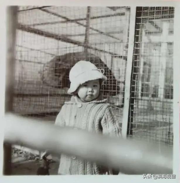 河滨公园历史简介,塘沽河滨公园老照片