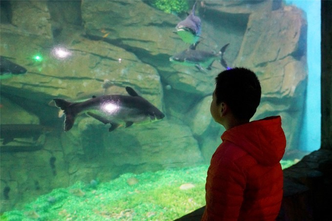 泉城极地海洋世界离济南西站多远,济南海洋极地世界离济南西近吗