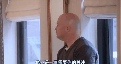 猫狗吃醋打架,吃醋的猫狗