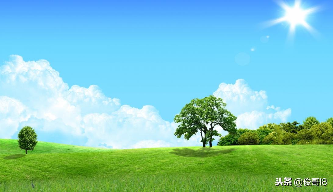 阿里巴巴诚信通1688,阿里巴巴诚信通业务怎么样