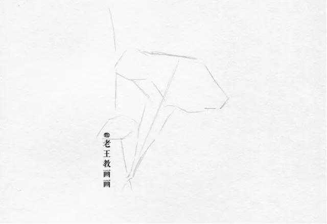 素描小白都在画什么,新手小白画素描人物