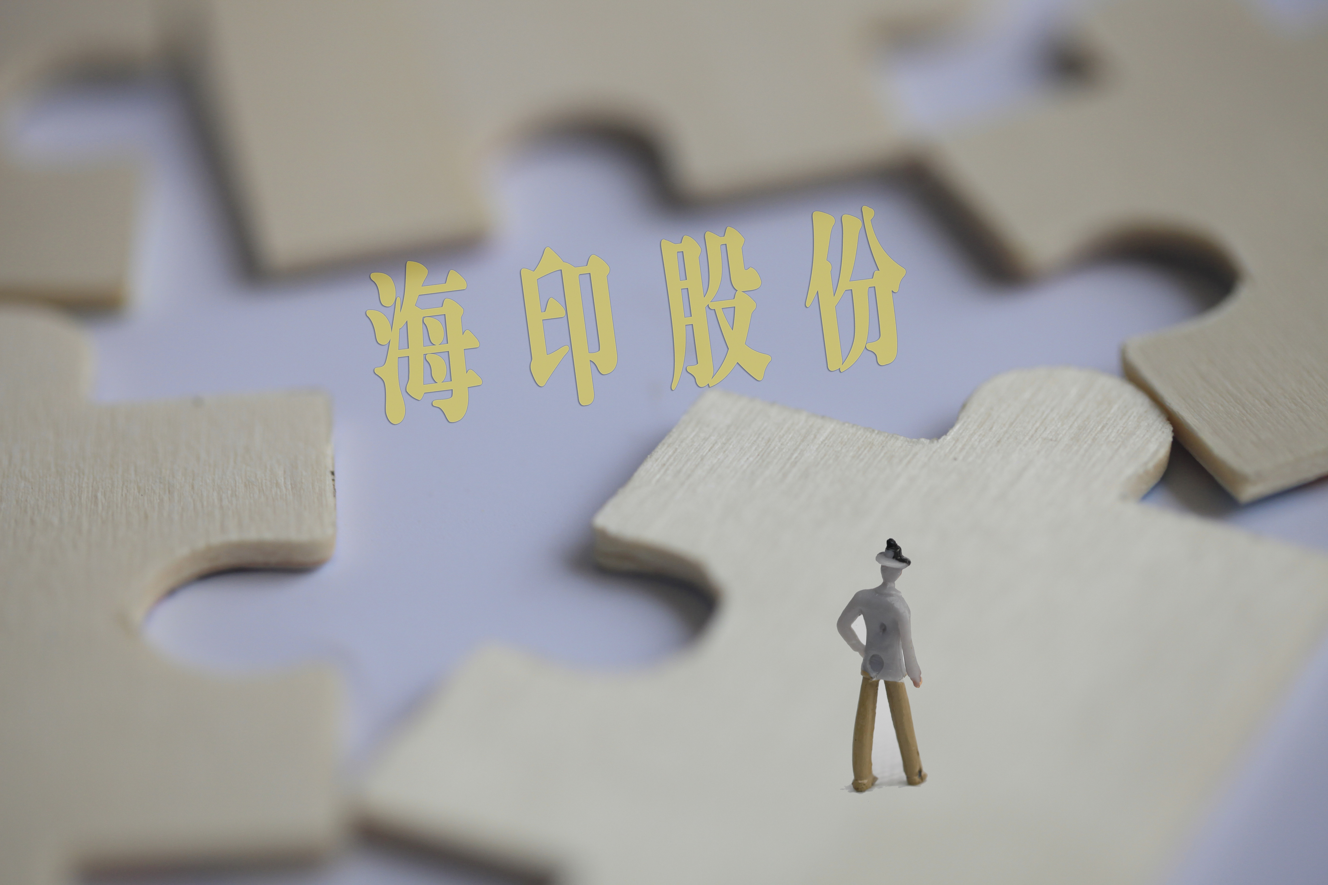 海印邵建明最新消息,海印股份邵建明占股多少