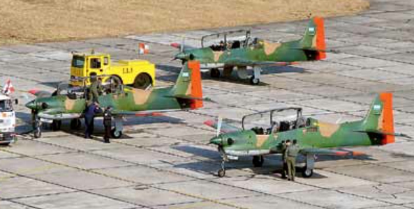 亚马逊雨林十大最凶猛的鸟,棕色巨嘴鸟