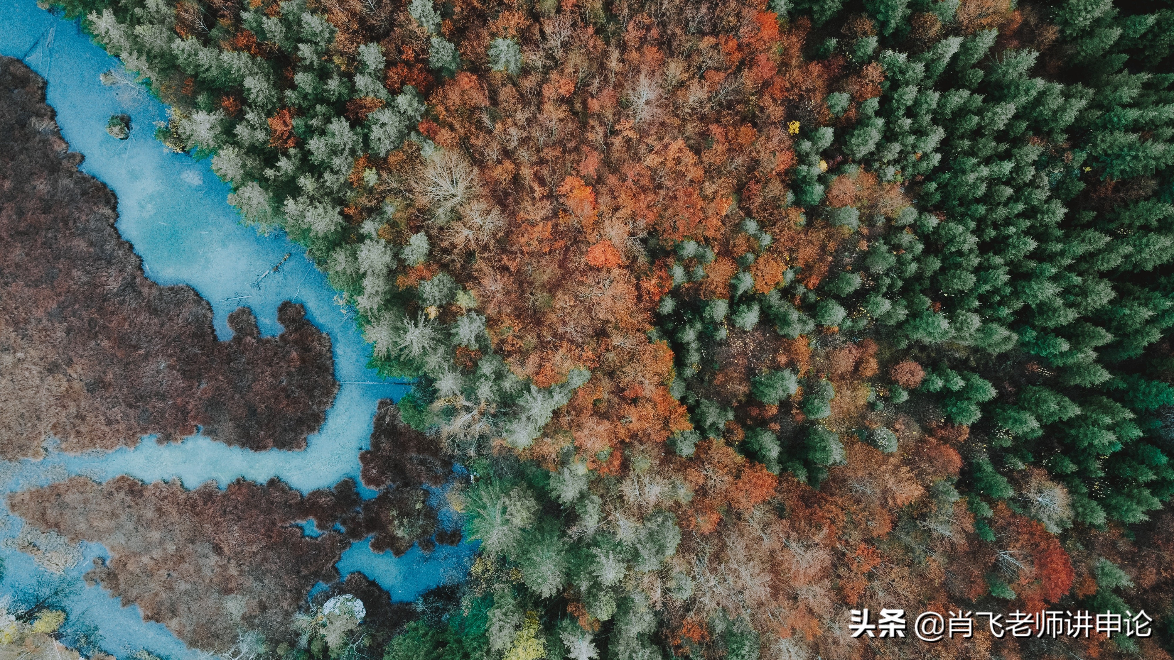 如何写报告书模板,如何写报告册