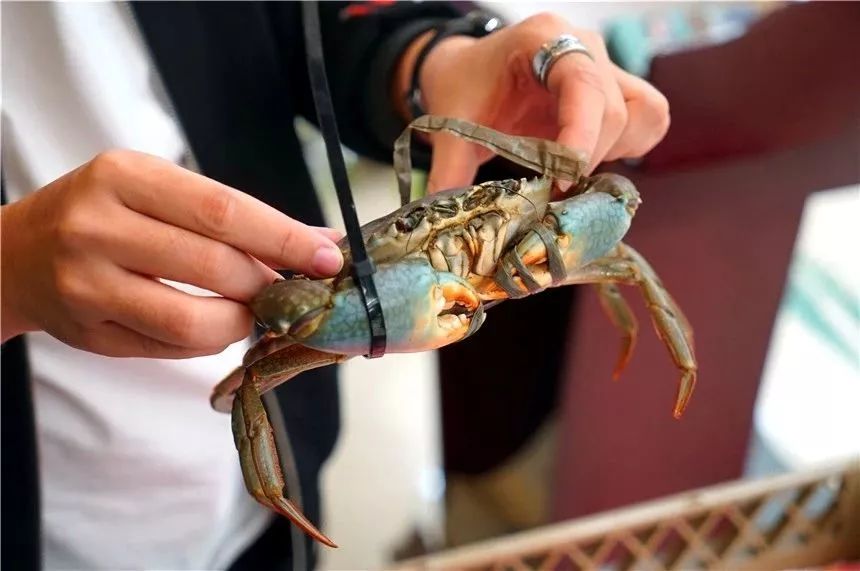 老板疯了五元一桌子菜,老板疯了系列零食