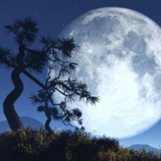 诗仙李白惊艳世人的诗句,李白七分剑气三分月光