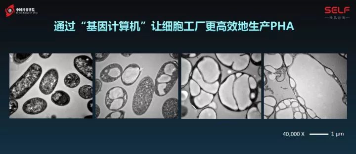 微生物降解塑料,生物塑料可以被微生物降解吗