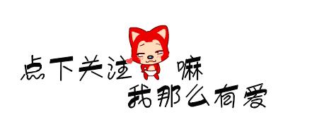 柴犬好养吗柴犬适合上班族养吗,普通人养柴犬需要注意什么