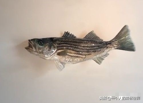 閫忚澶栨寕鐪熷疄浜嬩欢,閫忚澶栨寕鐪熺殑鍋囩殑