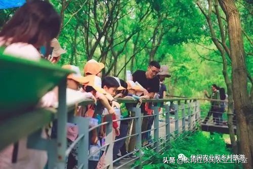 疫情过后哪些产业发展潜力大,疫情下的农村产业发展现状