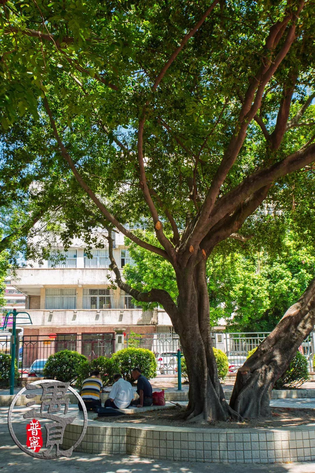 普宁二中操场改造,普宁流沙中华新城旧貌