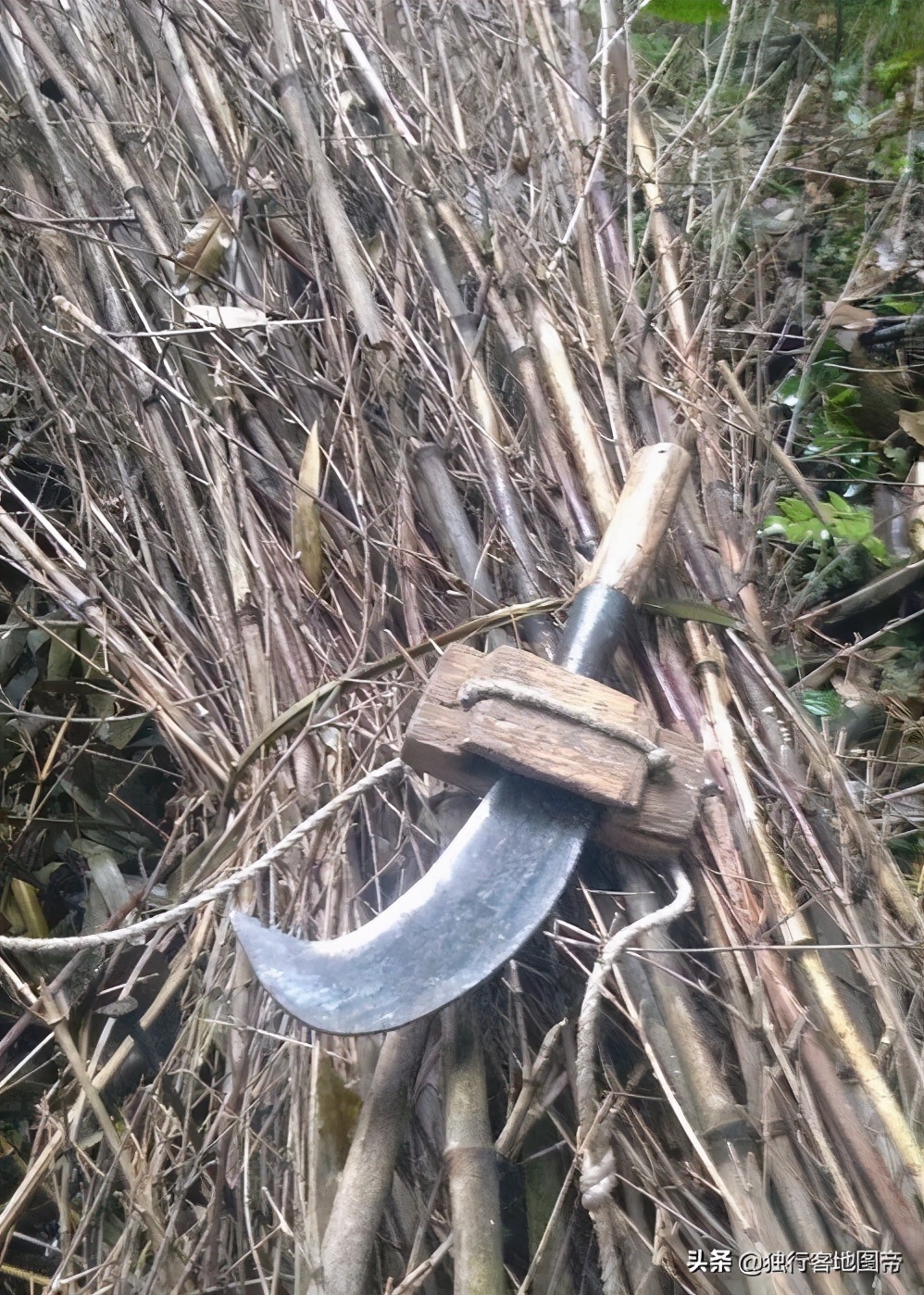 *世友许**在少林寺练武有多传奇？自创螳螂刀灭土匪