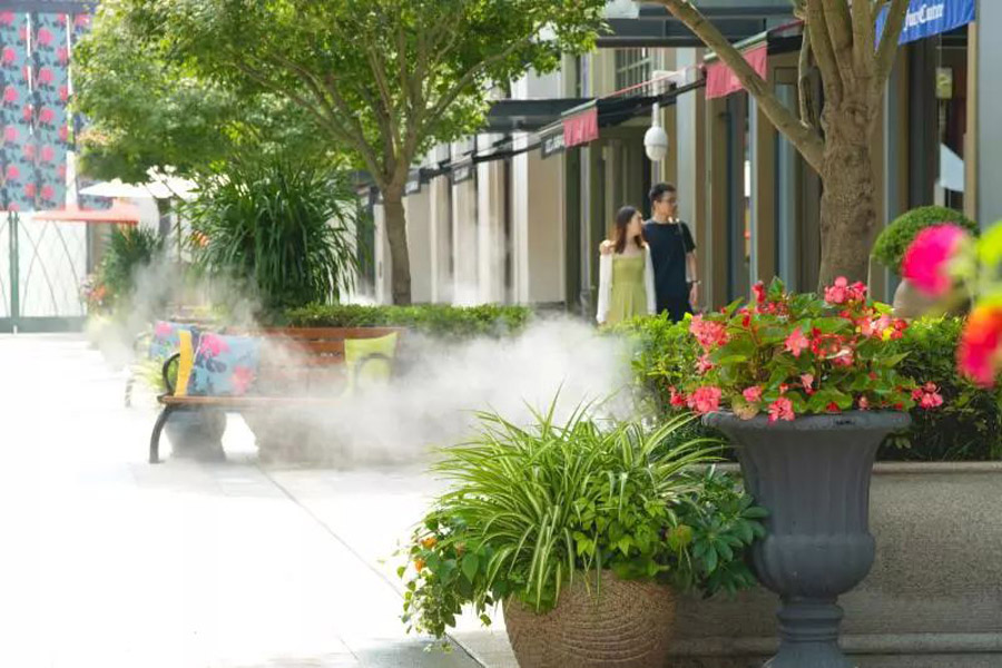 sw入门款,sw值得买么