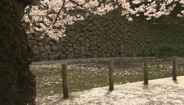 日语程度副词,日语动词简体敬体变化规则