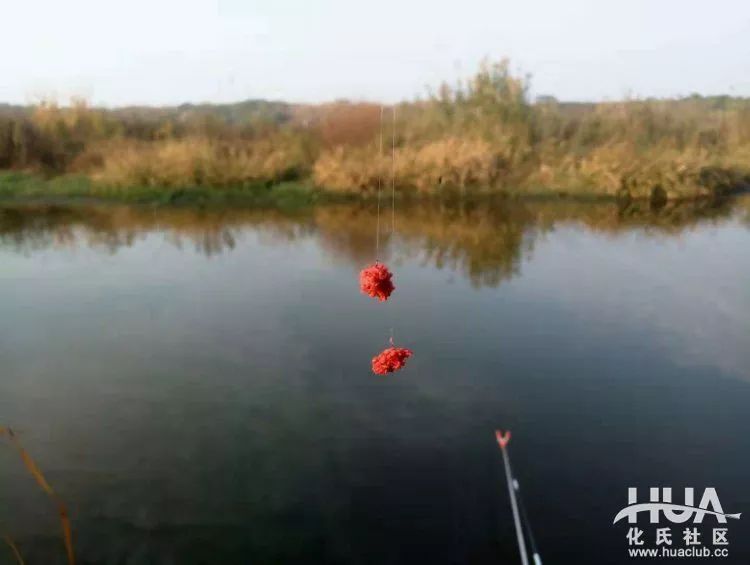 化氏不空军糊味,化氏不空军谁代工的