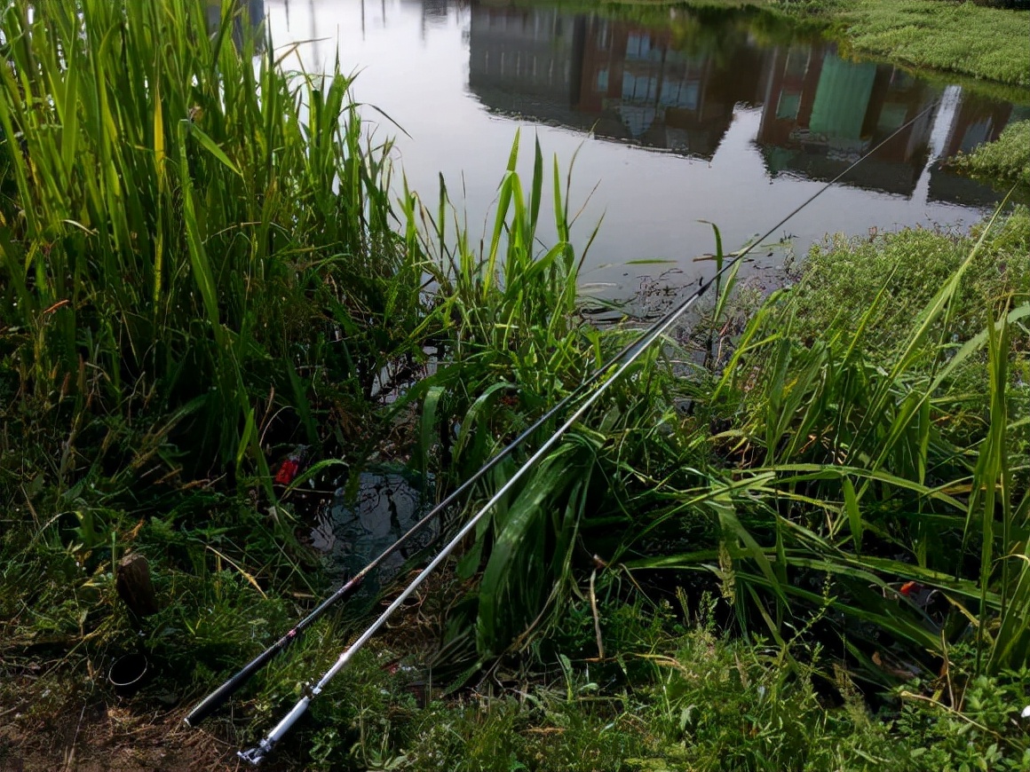野钓罗非鱼调漂的正确方法与技巧,新手野钓调漂的正确方法与技巧