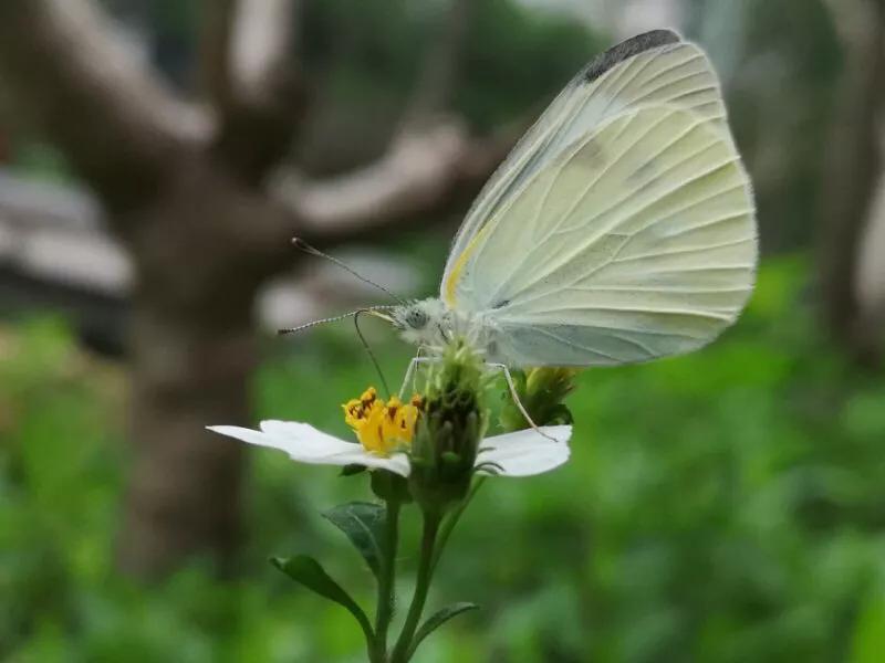 2022年世界手机摄影大赛征稿,手拍世界摄影网