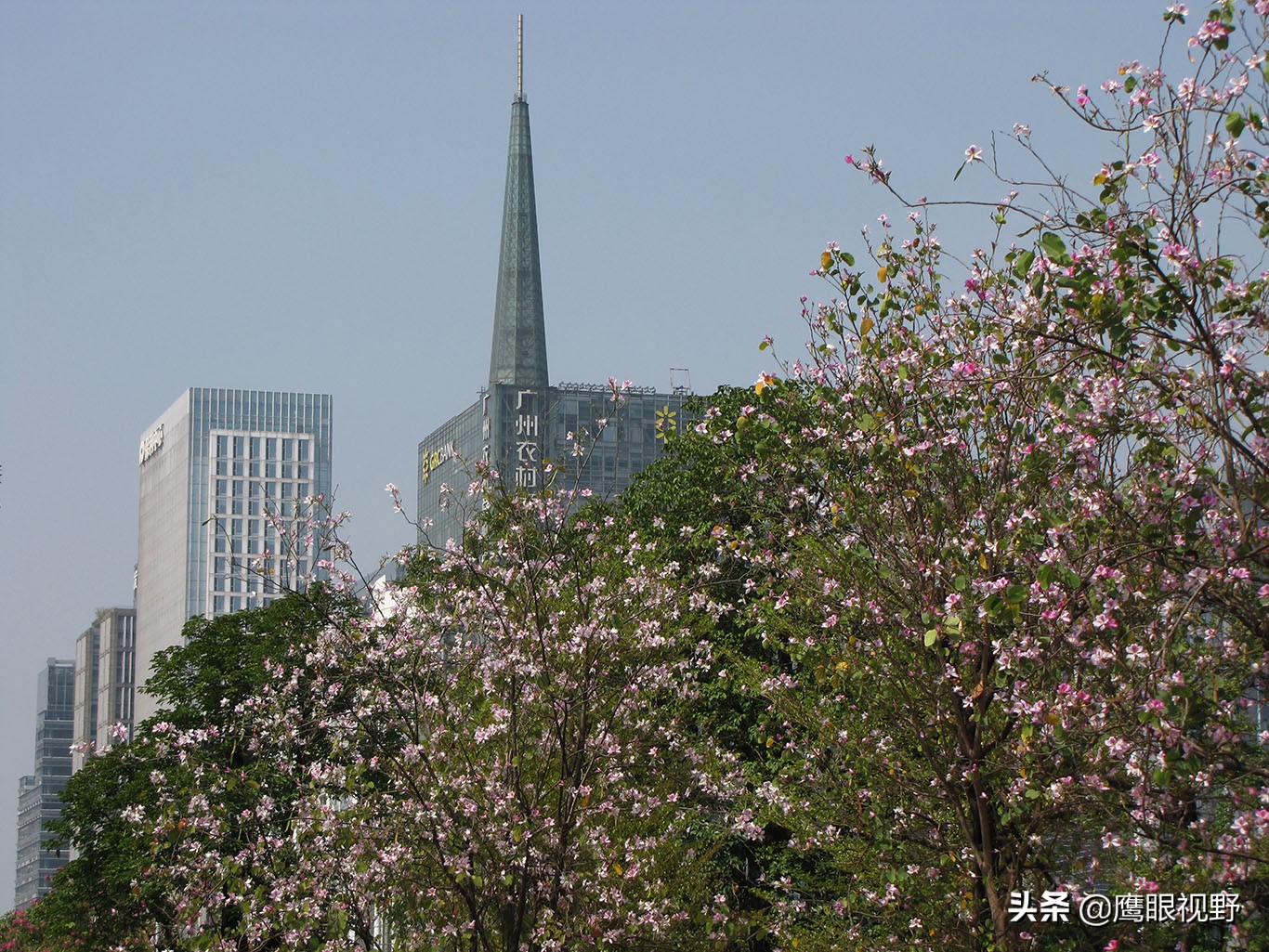 广州国际花博会2018年开幕,第28届广州园博会花城看花