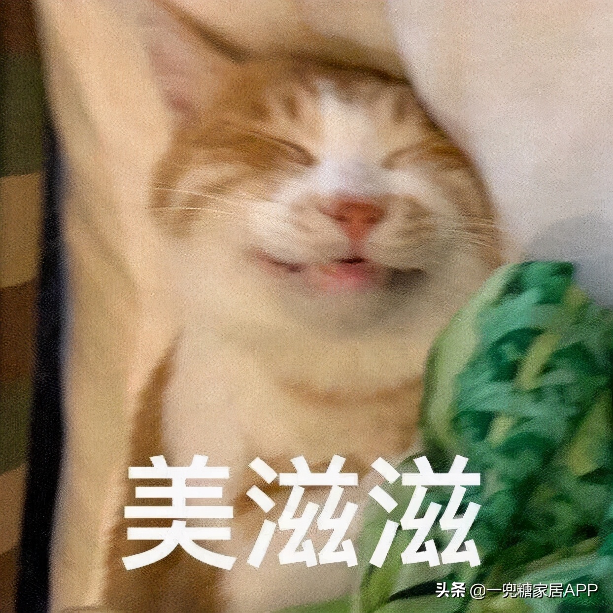 比拼多多还便宜的平台,比拼多多更实惠的平台是哪个