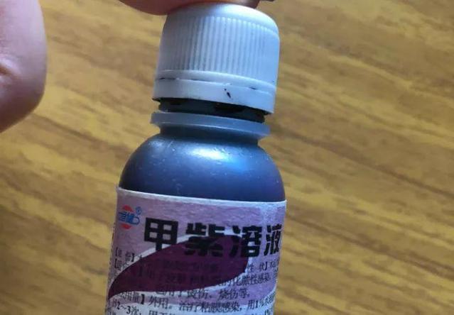 未开封的药物过期8月还可以用吗,哪些花卉适合用过期药片