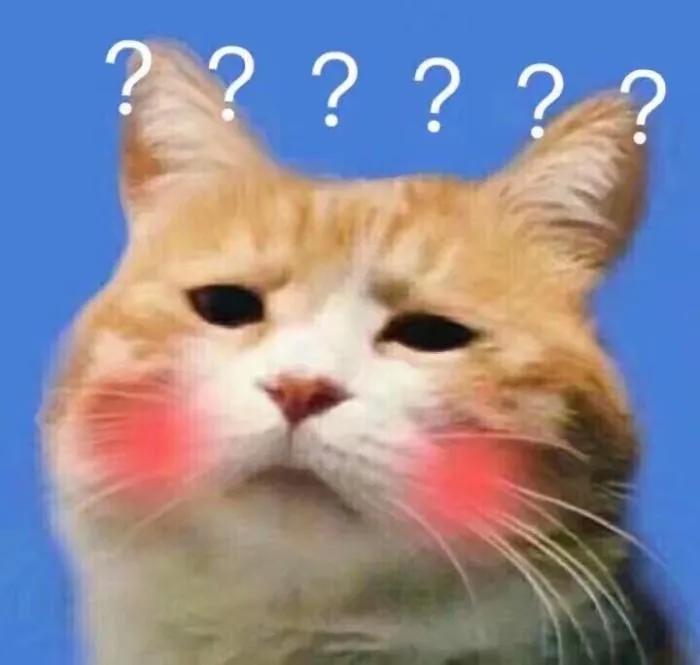 中华田园猫有哪些品种,中华田园猫白色异色瞳