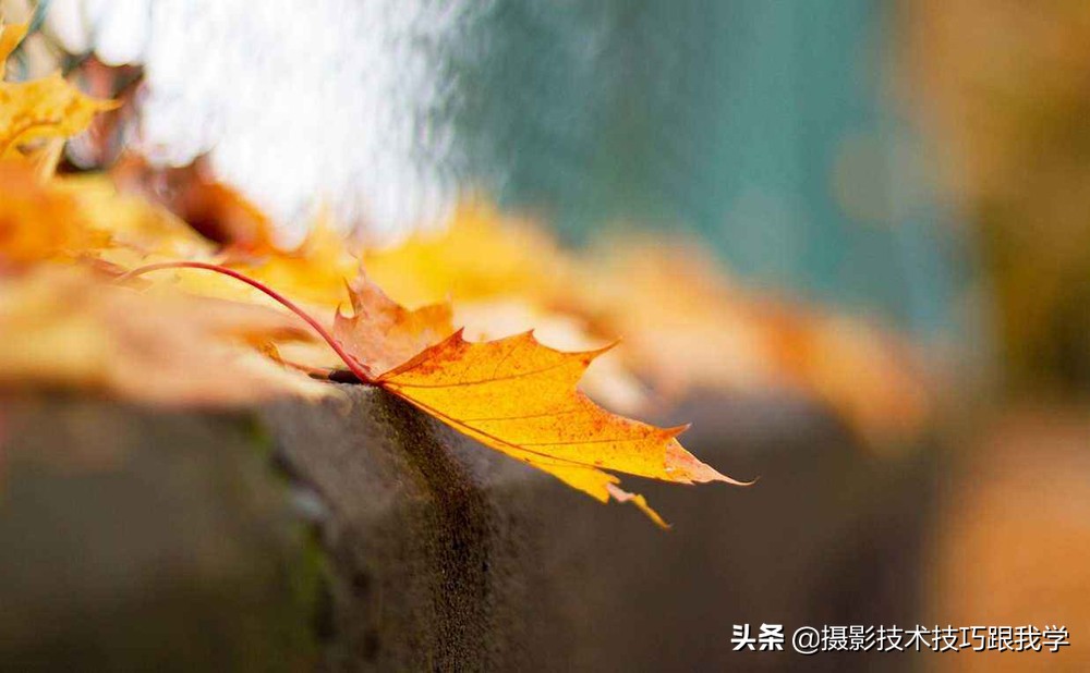 摄影中的景深有什么用,摄影景深的基础知识