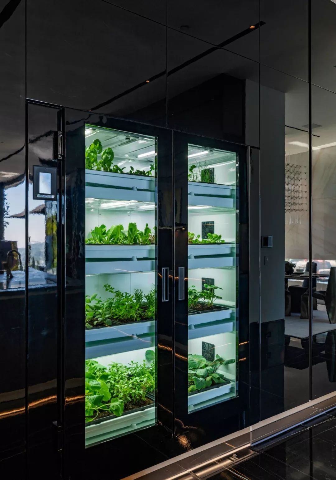 2.95亿的豪宅,2.99亿豪宅