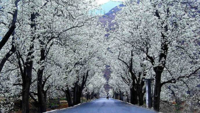 出国旅游担心语言问题,出国旅游预订机票口语