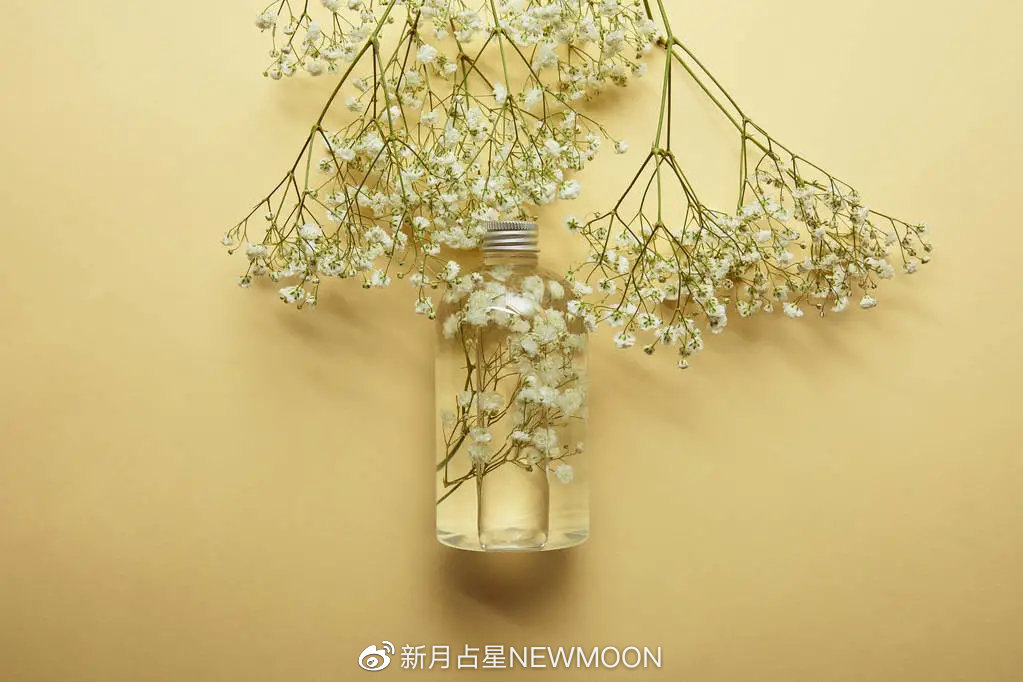 “金天蝎是信任他人,金金牛是被他人信任”|7款金星的真实心声