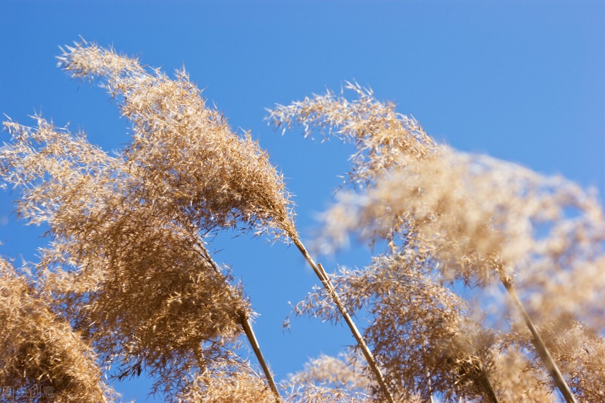 起夜睡不着中医小妙招怎么解决,晚上起夜多次尿多什么原因中医