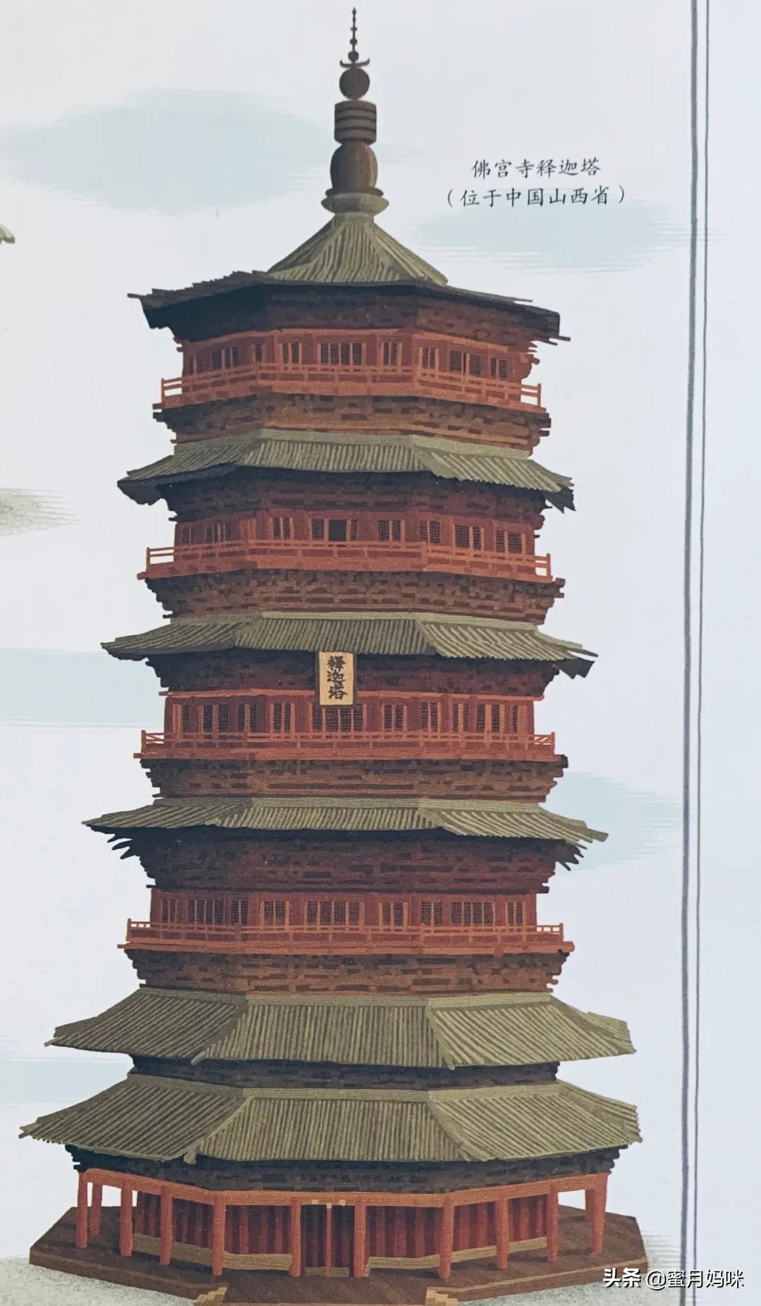 树木科普书籍,关于各种树木知识的书籍