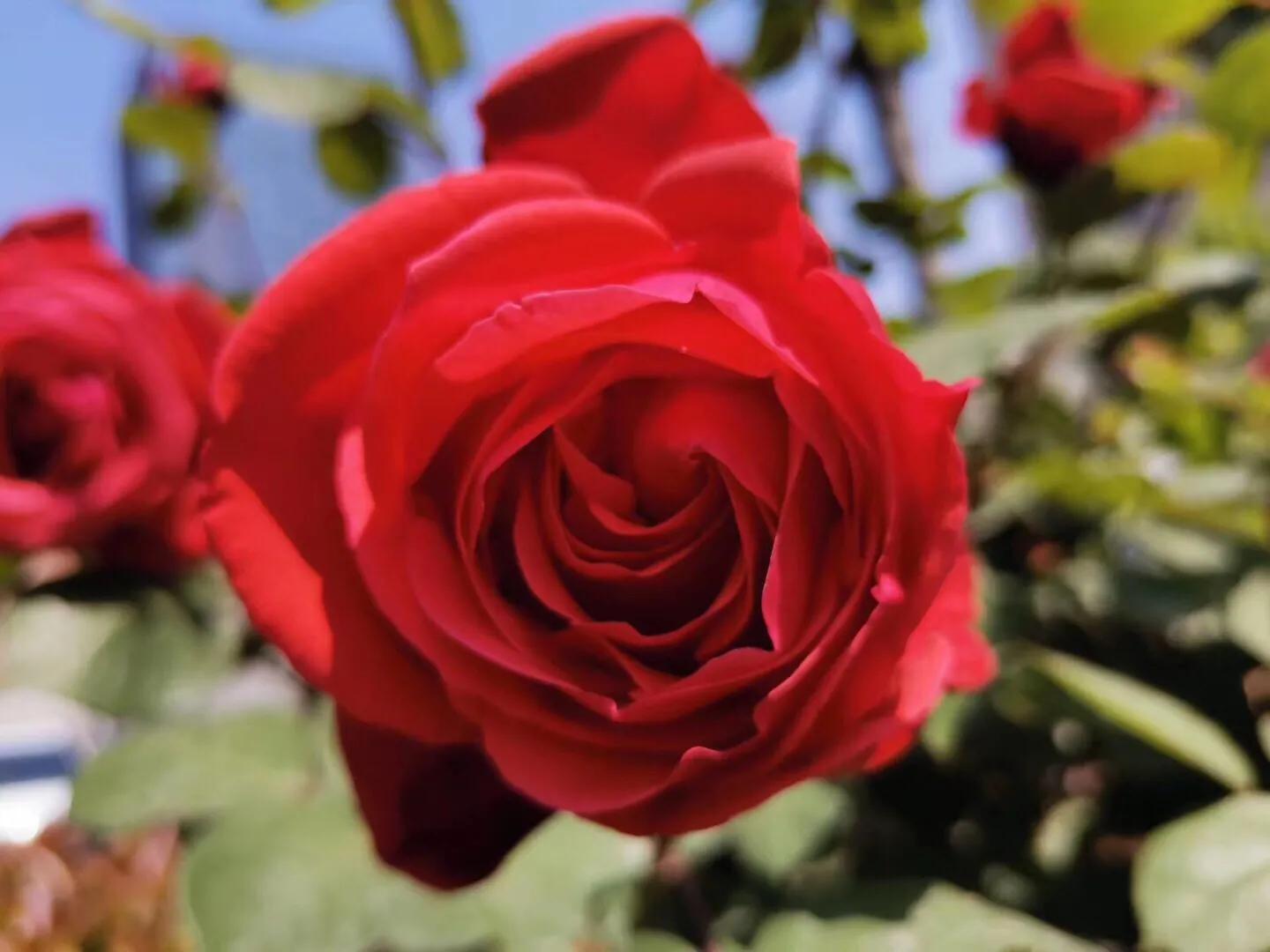 没有同甘共苦凭什么共享富贵,最好的婚姻是同甘共一