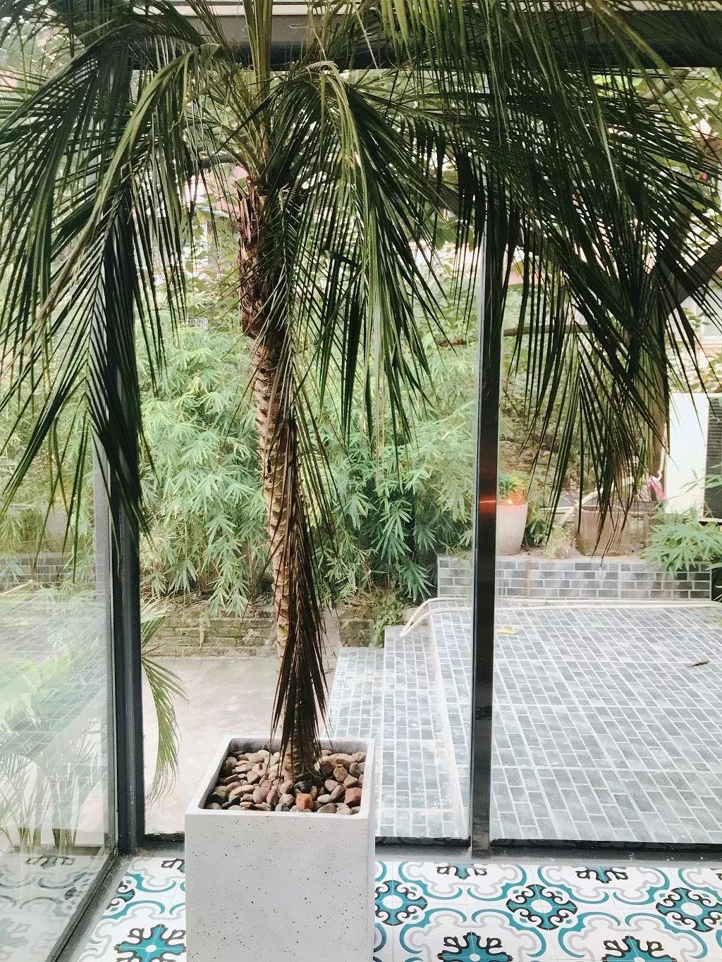 重庆目前最火爆的奶茶店,重庆最火爆的奶茶店