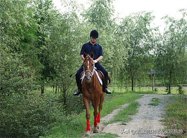 天津蓟县梨木台景点附近农家院,天津蓟县旅游梨木台攻略