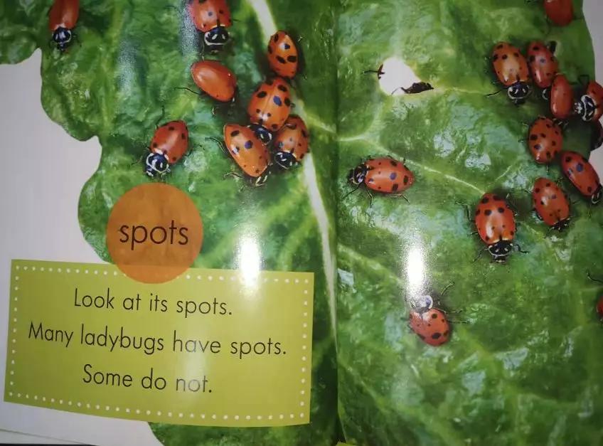 来聊聊总有一天要读的Non-fiction，怎么读，读什么...