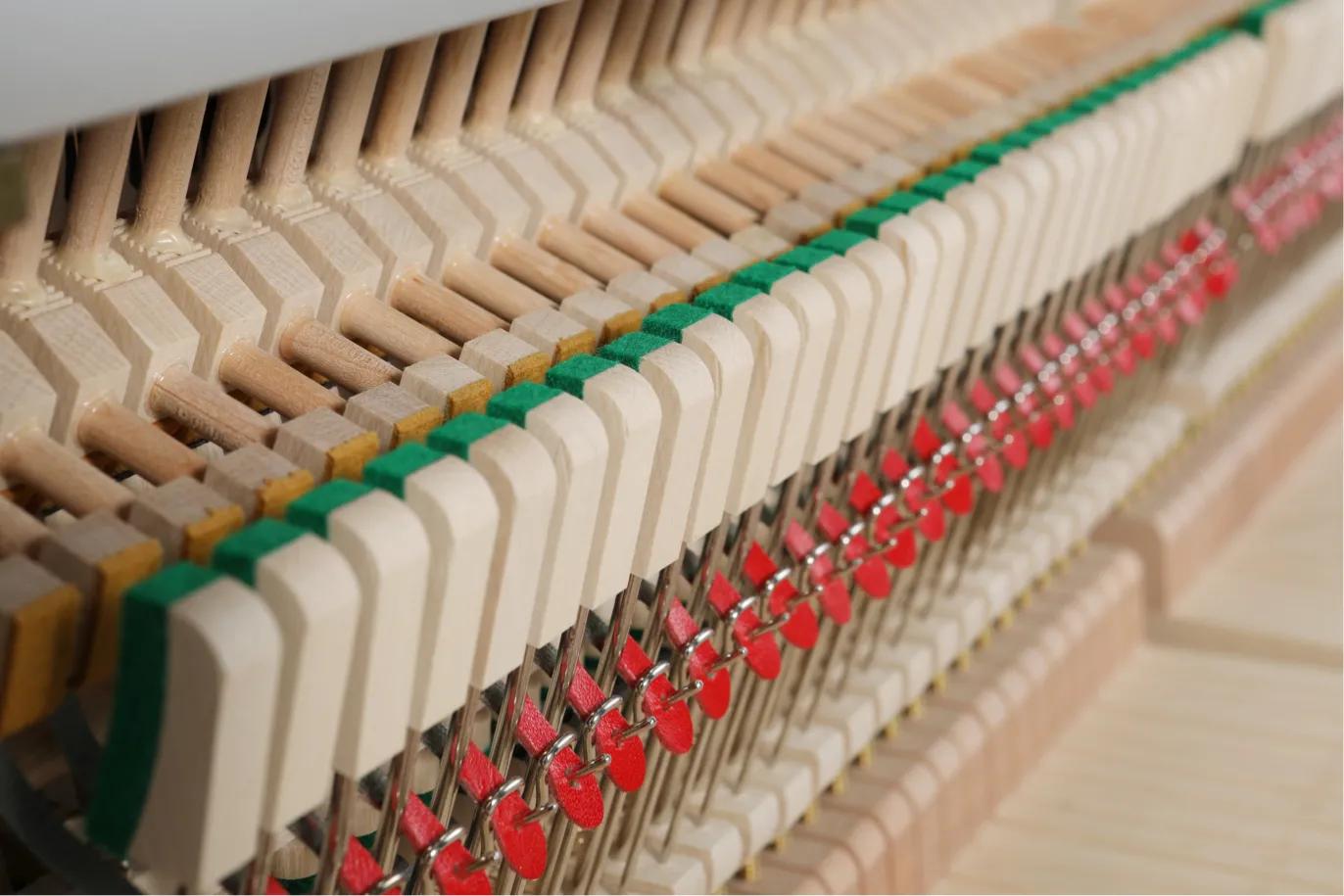 为什么我们不爱听新歌向往的生活,我们为啥不喜欢电音节