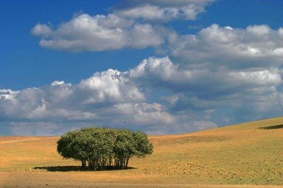 现在学平面设计有前途吗,为什么这么多人想学设计