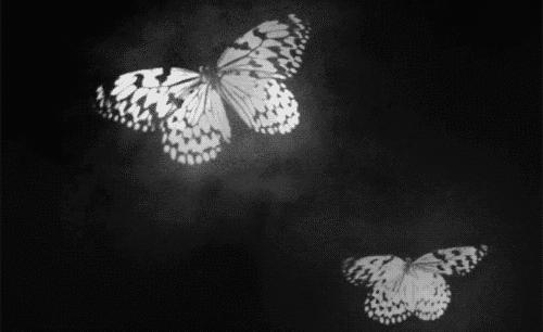 提前备货！GUCCI腕表2019夏季绽放异彩，认准这8款送礼自留都不愁！