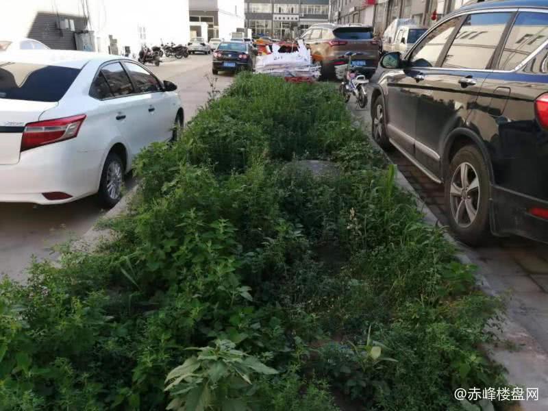 选好物业有什么好处,选择一个好的物业