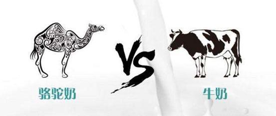 羊驼奶粉真的有效吗,羊驼奶粉有什么用